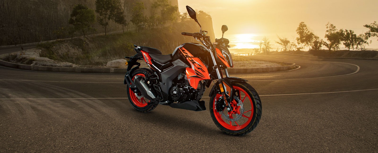 Moto Pistera WOLF 250